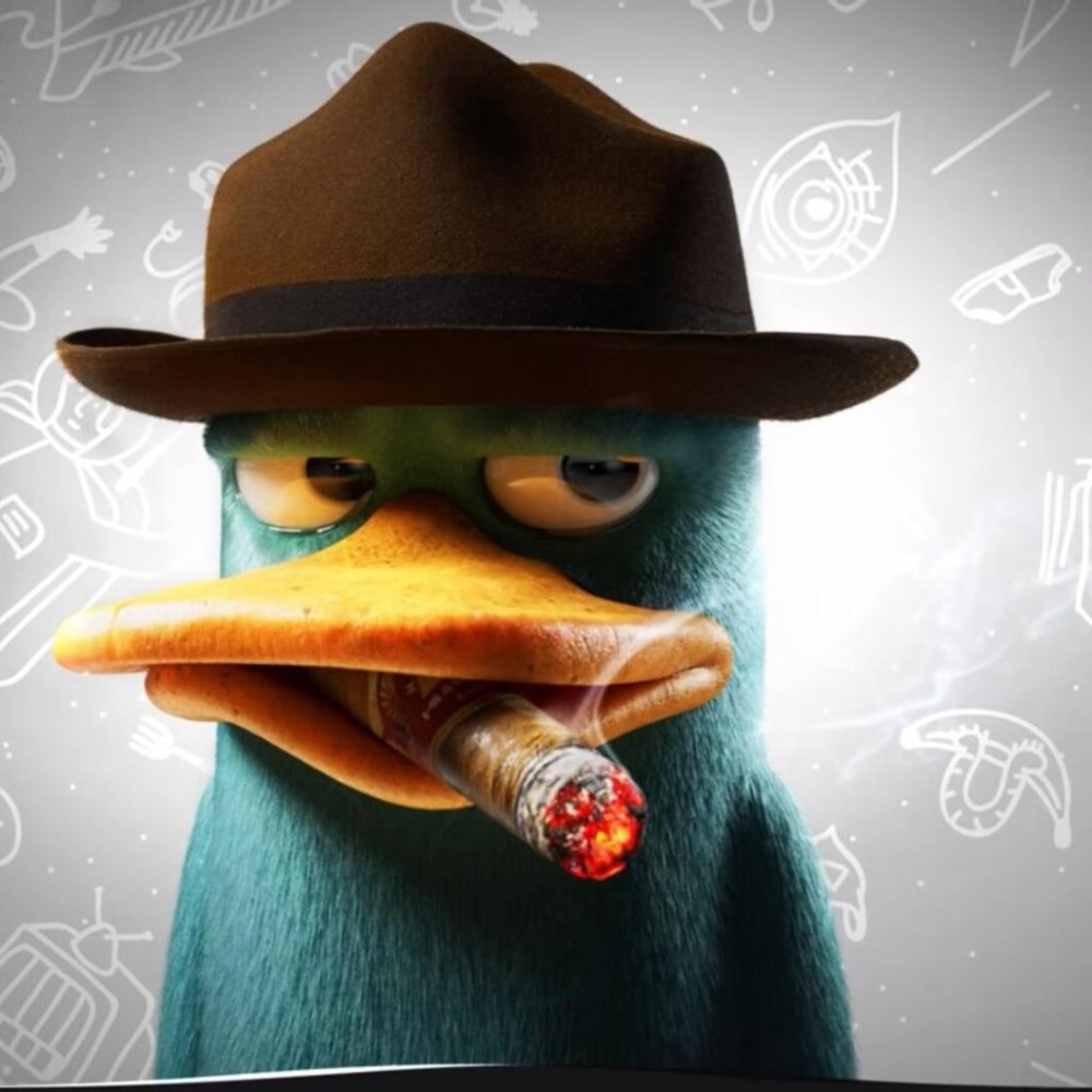 Meet your Posher, kurokawa2013